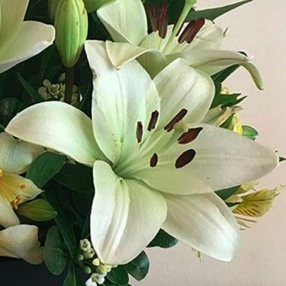 Arreglo Lilium Blanco - Imagen 5