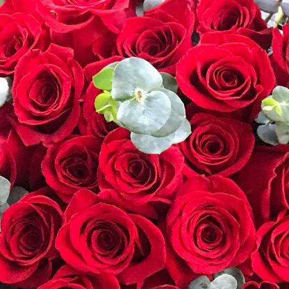 Ramo Rosas 48, 24 y/o 18 unidades - Imagen 7